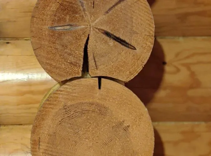 Tunturioravat Loma-asunnot